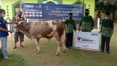 “Qurbanmu Kuatkan Ketahanan Pangan” – Lazismu Kirim Sapi Qurban ke PCM Bahuga