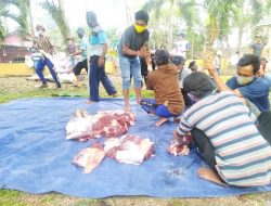 DKM Masjid As Salam Komplek Irigasi Sembelih Hewan Kurban