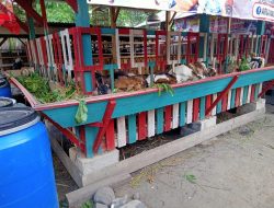 Unik : Kandang Kambing Pelangi