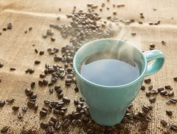 Wajib Tahu, Fakta Menarik Tentang Kopi