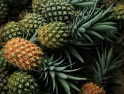Berikut Trik Mudah Membuat Daging Cepat Empuk