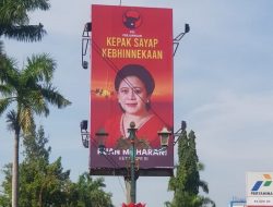 Baliho Puan Maharani ‘Merahkan’ Pelosok Wilayah, Tokoh Muda NU Beri Sentilan