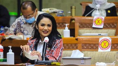 Fraksi PDIP Panggil Krisdayanti Setelah Blak-blakan Gaji Anggota DPR