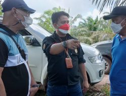 Koperasi SUSB Ambil Alih dan Panen Kebun Sawit