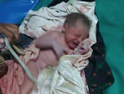 Polsek Rawa Jitu Selatan Cari Pelaku Pembuang Bayi Laki-laki di Dalam Kardus