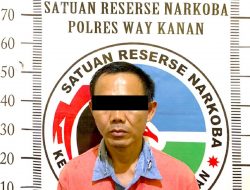 Terbukti Miliki Sabu, Pria Asal Negeri Agung di Gelandang Satresnarkoba Polres Way Kanan