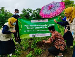Gerakan Penanaman Pohon LLHPB bersama PD Muhammadiyah Tulungagung Warnai Semarak Milad 109 Muhammadiyah