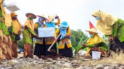 Tanam Pohon Untuk Anak Cucu4 Tanam Pohon Untuk Anak Cucu4
