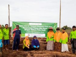 LLHPB Kalimantan Barat Jadikan Pepaya California Jadi Varietas Unggulan