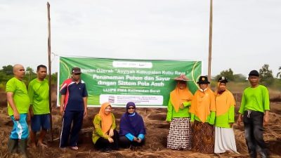 LLHPB Kalimantan Barat Jadikan Pepaya California Jadi Varietas Unggulan