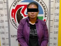 Diduga Edarkan Sabu, Seorang Wanita Diringkus Polisi