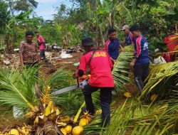 Pemuda Muhammadiyah Way Jepara Terjunkan Kokam Tangani Korban Puting Beliung