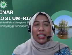 UMRI Gandeng LLHPB Riau Gelar Webinar Bertajuk Rehabilitasi dan Fakta Mangrove Sebagai Perisai dan Penyangga Kehidupan
