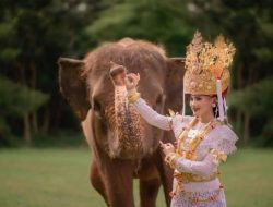 Kapan Hari Jadi Provinsi Lampung? Berikut Sejarah Berdirinya Lampung