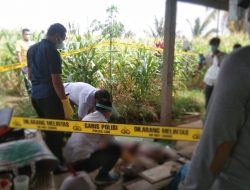 Mayat Tanpa Busana Ditemukan Warga Di Kebun Jagung, Polisi Datangi TKP