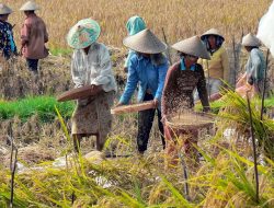 Bayar Hutang Puasa Dengan Qodla dan Fidyah, Berikut Ketentuannya