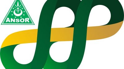 Download Logo Harlah GP Ansor ke 88 Format PNG, CDR, AI, PDF dan Video Intro