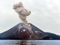 Level III Aktivitas Gunung Anak Krakatau, MDMC Lampung Beri Himbauan