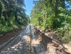 Jalan Provinsi Penghubung Dua Kecamatan Di Way Kanan Rusak Parah