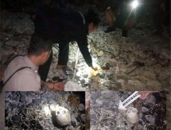 Heboh! Warga Temukan Tengkorak Manusia Tergeletak Di Pinggir Pantai
