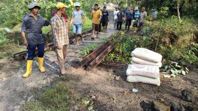 Jembatan Rusak Tak Kunjung Diperbaiki Pemda Way Kanan, Karang Taruna Beserta Masyarakat Bumi Baru Lakukan Perbaikan Secara Gotong Royong