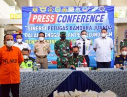TNI AL Gagalkan Penyelundupan 30.911 Ekor Benih Lobster Senilai 3 Miliar