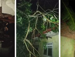 Hujan Es dan Angin Kencang Landa Wilayah Purbolinggo