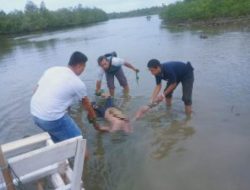 Dua Mayat Tanpa Identitas Ditemukan Mengambang Disungai, Salah Satunya Tersangkut Jaring Ikan