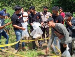Heboh Penemuan Kerangka Manusia di Kebun Singkong, Diduga Jasad Perempuan Yang Sebelumnya Hilang