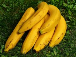 7 Manfaat Pisang yang Menyehatkan, Mulai dari Turunkan Darah Hingga Kesehatan Kulit