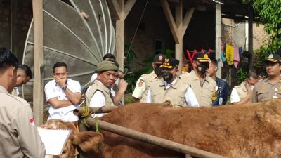 Wujud Keseriusan Pemerintah, Pemkab Way Kanan Gelar Apel Siaga dan Pelepasan Vaksin PMK