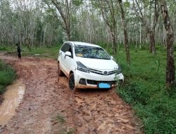 Pengusaha Mitra Tebu Tutup Mata Masalah Kerusakan Jalan, Warga Karang Agung Terisolasi