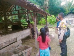 Bhabinkamtibmas Polsek Bumi Agung Dampingi Vaksinasi Pada Hewan Ternak