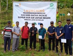 Kacang Sacha Inchi, Solusi Pemberdayaan Ekonomi Lazismu Untuk Lahan Wakaf