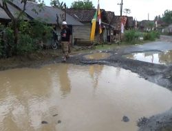 Jalan Penghubung Kecamatan Baradatu Dan Banjit Harus Segera Diperbaiki