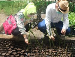 Tanam Bibit Mangrove, SMP Muhammadiyah 18 Gelar Outdoor Learning