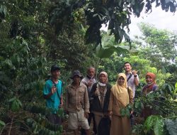 Kopi Adoh, Cita Rasa Alam Gunung Salak