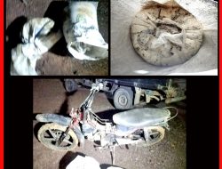 Pelaku Pencurian Karet di PTPN VII Tulung Buyut Terancam Pasal 362 KUHP Masimal 5 Tahun Penjara