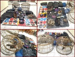 Polisi Gerebek Judi Sabung Ayam dan Judi Dadu Koprok Di Way Kanan