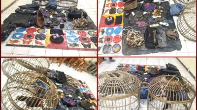 Polisi Gerebek Judi Sabung Ayam dan Judi Dadu Koprok Di Way Kanan