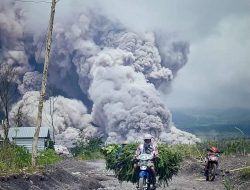 Awan Panas Guguran Gunung Semeru, Relawan Muhammadiyah Lakukan Assesmen