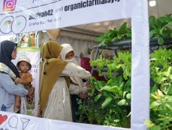 Ada Bagi Sayur dan Lukis Gratis di Pameran Musyda Muhammadiyah-‘Aisyiyah Gresik