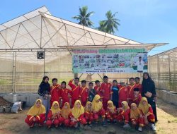 Field Trip Siswa SD Muhammadiyah 2 Kota Langsa ke Aceh Hidroponik