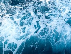 Mengapa Air Laut Asin? Penjelasan Ilmiah di Balik Rasa Asin Air Laut