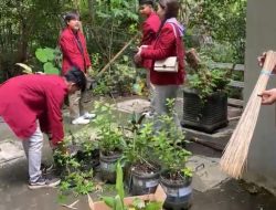 Mahasiswa PMM Kelompok 90 UMM Tanam Toga Di Panti Asuhan Akhlakul Karimah Tingkatkan Kesehatan Dan Ketahanan Pangan