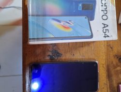 Tekab 308 Presisi Polsek Negara Batin Tangkap Pelaku Curas di Way Kanan