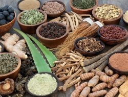 Adaptogen: Rahasia Tersembunyi di Balik Tren Kesehatan Modern
