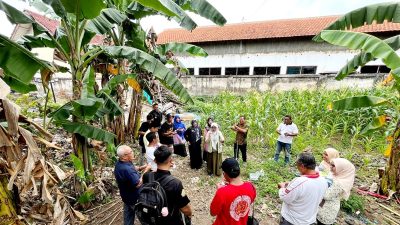 Eco Bhinneka Muhammadiyah Banyuwangi Gelar Workshop Biopori dan Penanaman Pohon di Enam Tempat Ibadah, Tingkatkan Kerukunan Antarumat Beragama