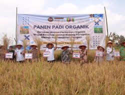 MPM PWM Lampung dan KPO Berkemajuan Gelar Temu Raya Petani Organik, Wujudkan Revolusi Mental Pertanian