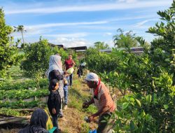 Dosen FIKES UMMAH Gelar Family Gatheting dan Field Trip di Kecamatan Berastagi Sumatra Utara.